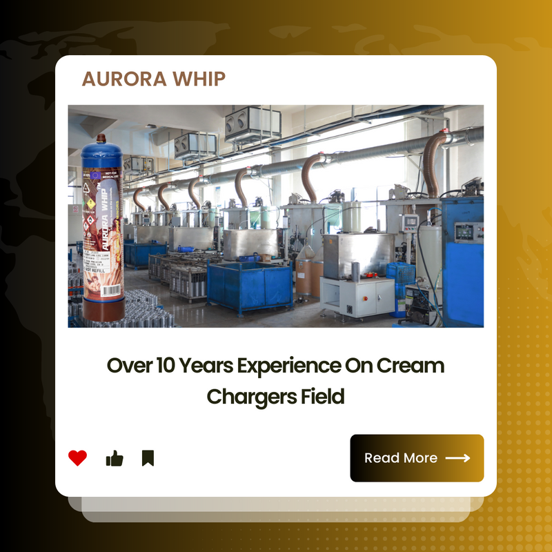 Our factory has over 10 years experience on cream chargers N2O field