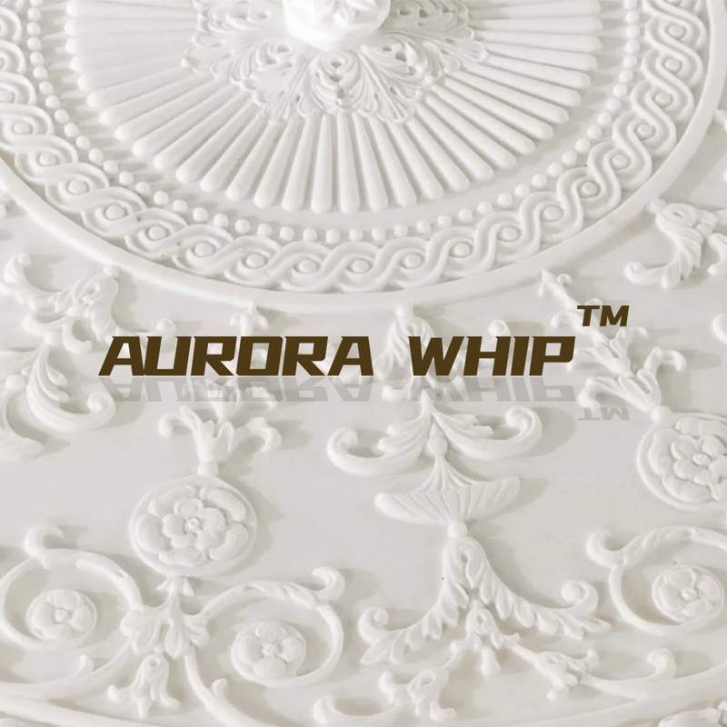 WHAT IS AURORA WHIP